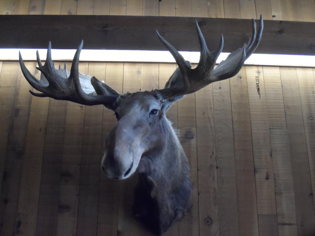 Bear Lodge Motel 선댄스 외부 사진
