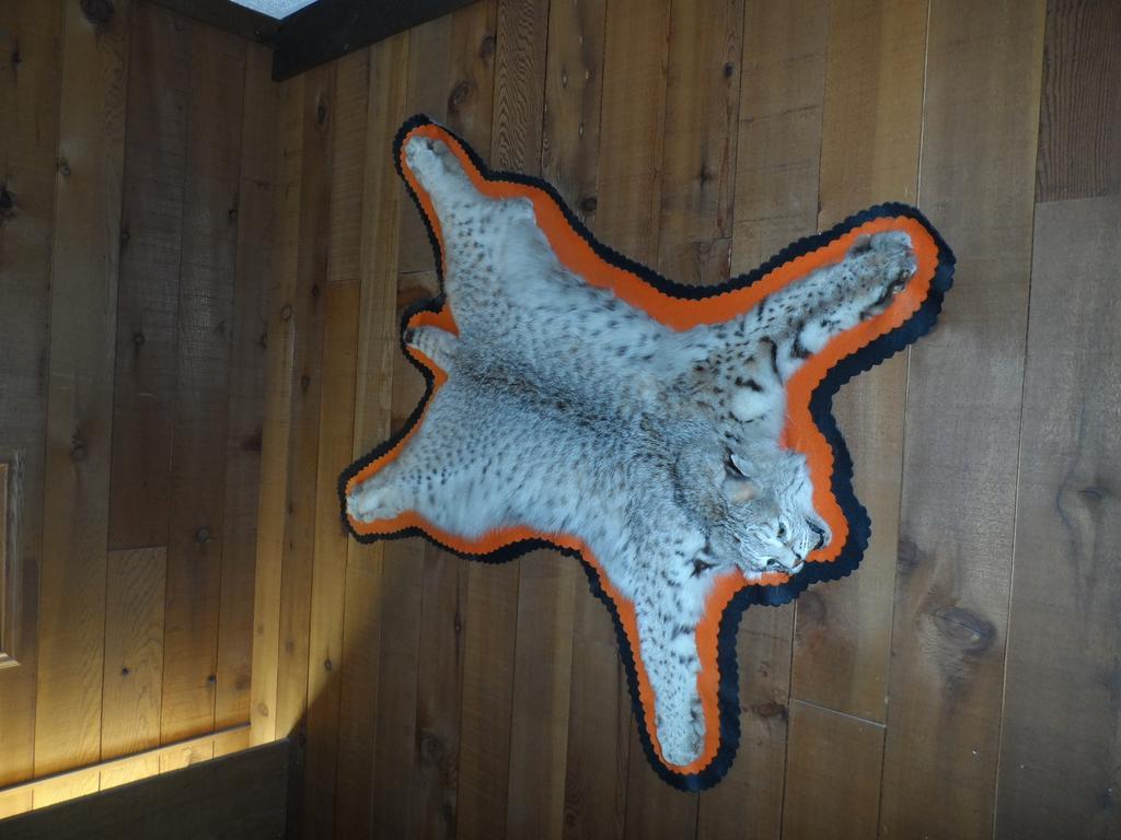 Bear Lodge Motel 선댄스 외부 사진