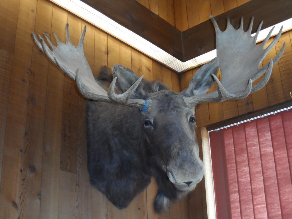 Bear Lodge Motel 선댄스 외부 사진
