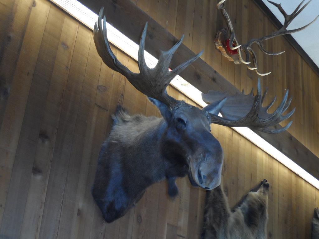Bear Lodge Motel 선댄스 외부 사진