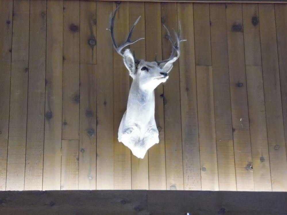 Bear Lodge Motel 선댄스 외부 사진